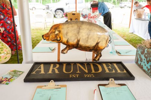 109b1c 094facbf7b7d466c89c9a86ce23df41cmv2