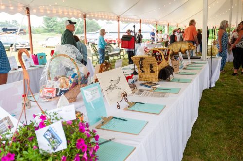 109b1c a17a702b43f841218aa0806506f9c15fmv2